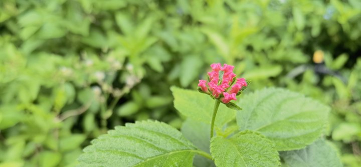 17e88c22-af43-4a92-b3aa-379eb6b935b3