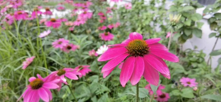 761b0436-e393-409b-bce5-610d6f96cb59