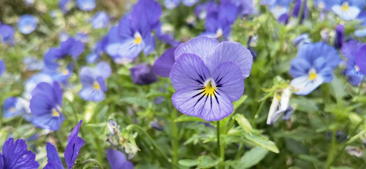 90d2862b-fb4c-44e3-a91a-5496e0f80b1c